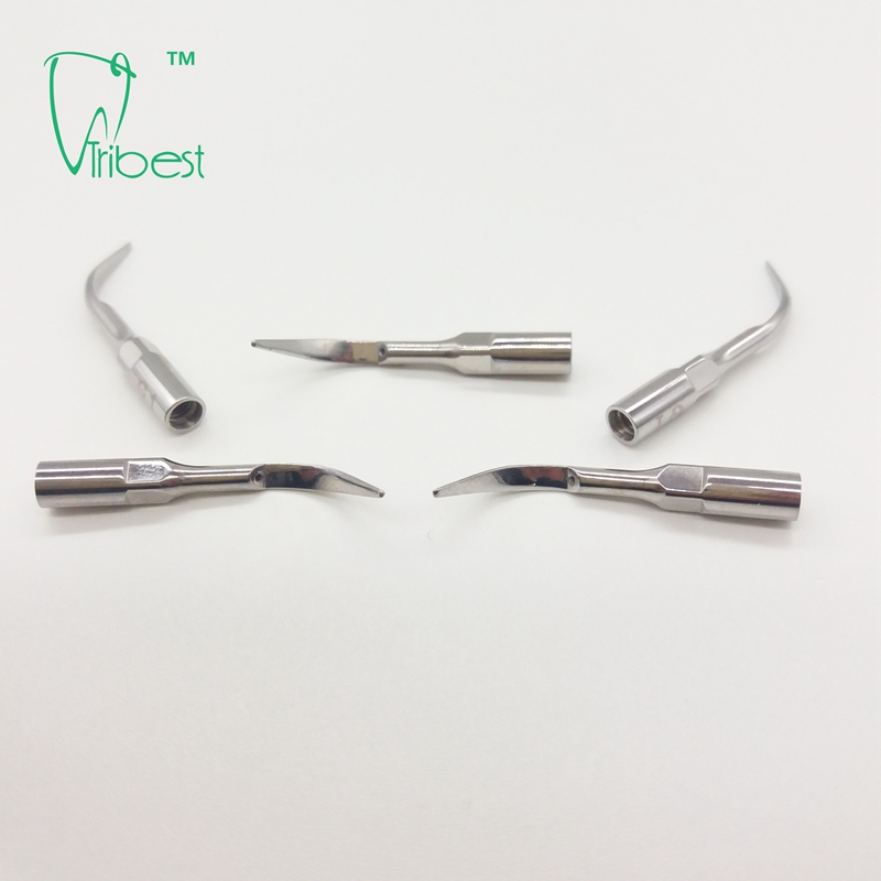 Scaler Tip G1