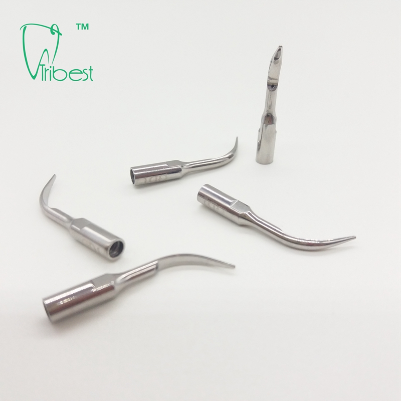 Scaler Tip GD1